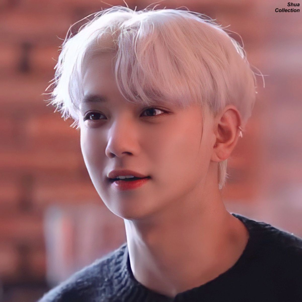 hoshi